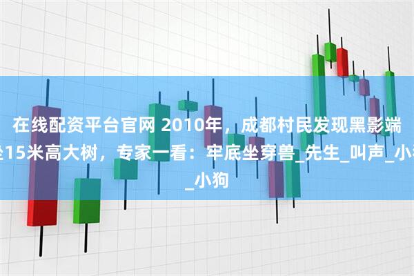 在线配资平台官网 2010年，成都村民发现黑影端坐15米高大树，专家一看：牢底坐穿兽_先生_叫声_小狗