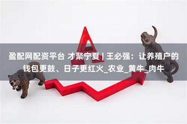 盈配网配资平台 才聚宁夏 | 王必强：让养殖户的钱包更鼓、日子更红火_农业_黄牛_肉牛