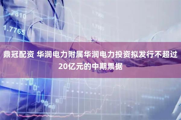 鼎冠配资 华润电力附属华润电力投资拟发行不超过20亿元的中期票据