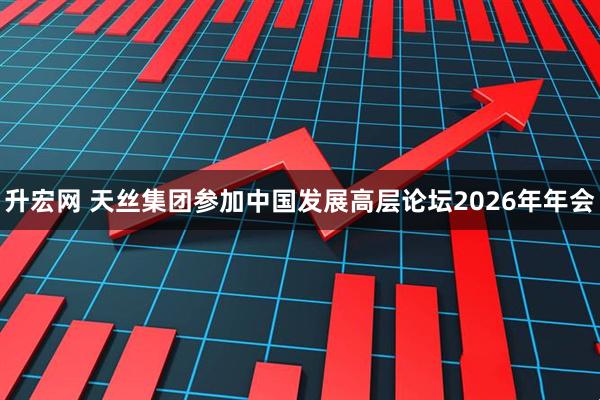 升宏网 天丝集团参加中国发展高层论坛2026年年会